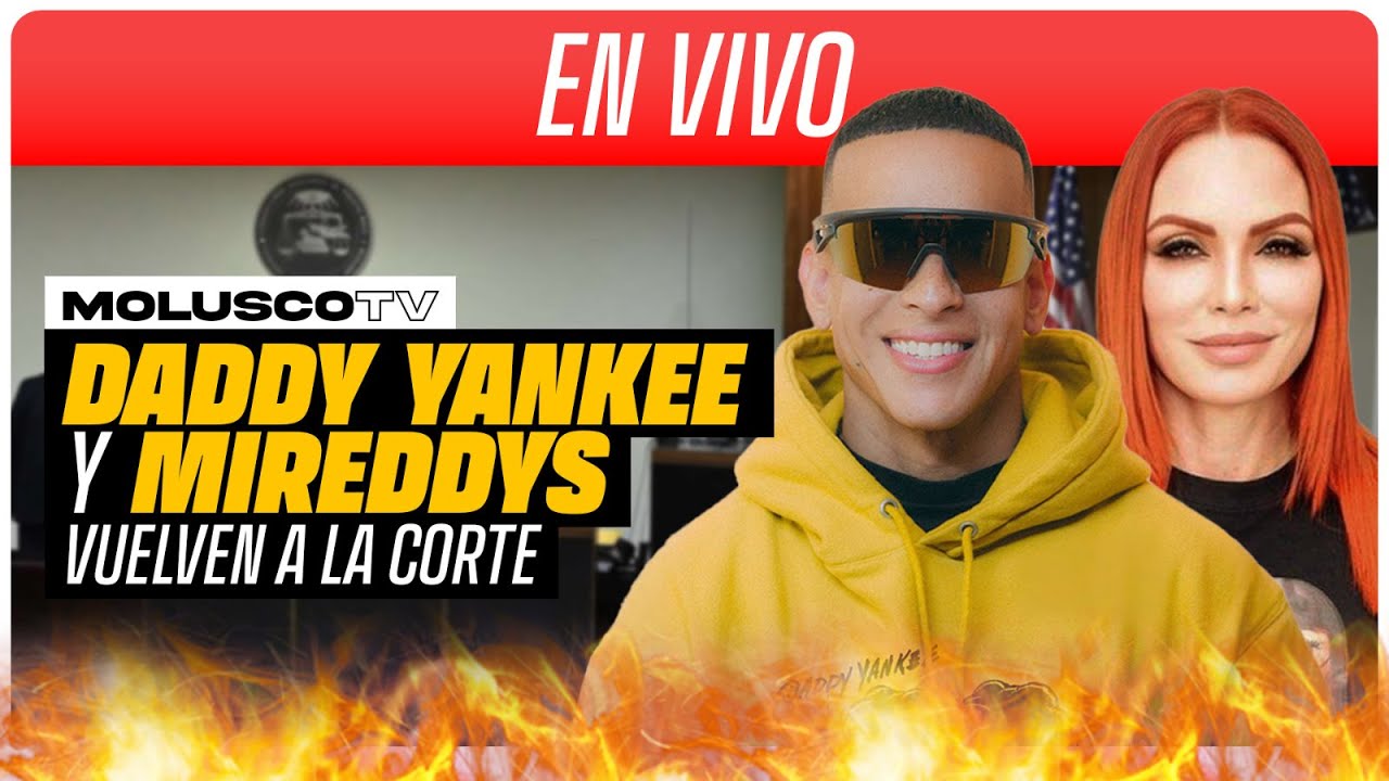 Daddy Yankee Vs Mireddys vuelven al tribunal: EN VIVO