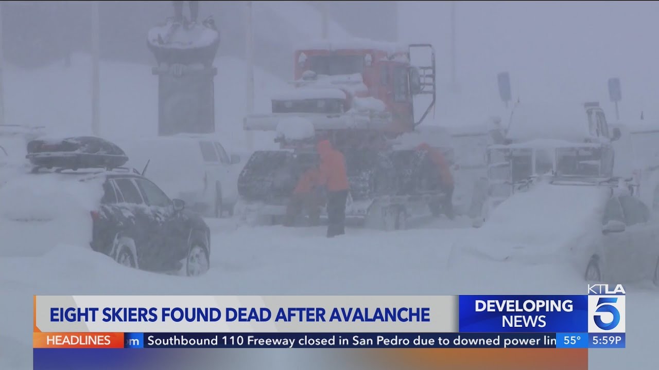 8 skiers found dead after avalanche in California