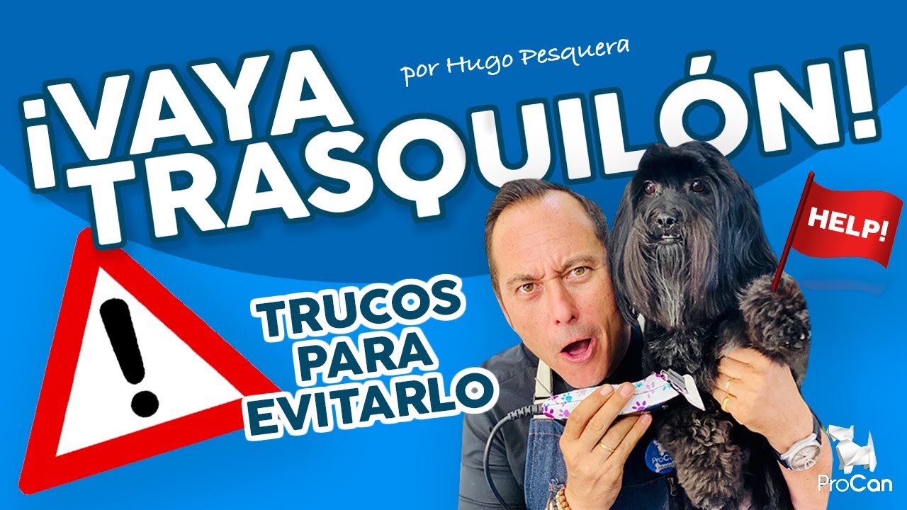 ¿SABES USAR LOS RECALCES? 🐶✂ Cómo cortar el pelo a un perro con máquina | Curso de Peluquería Canina