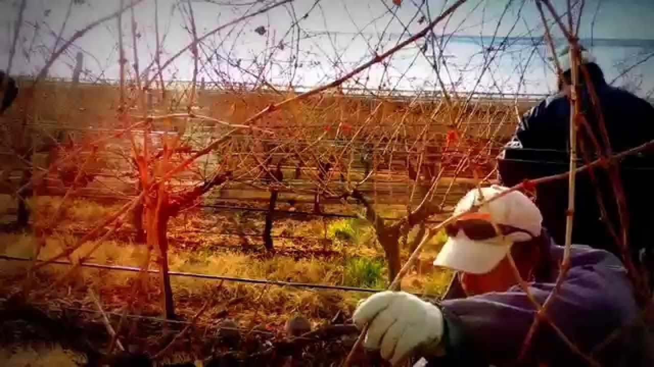Prueba tijeras neumaticas 3