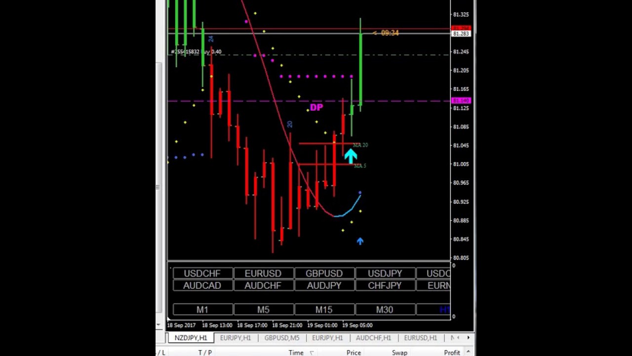 Forex holy grail system