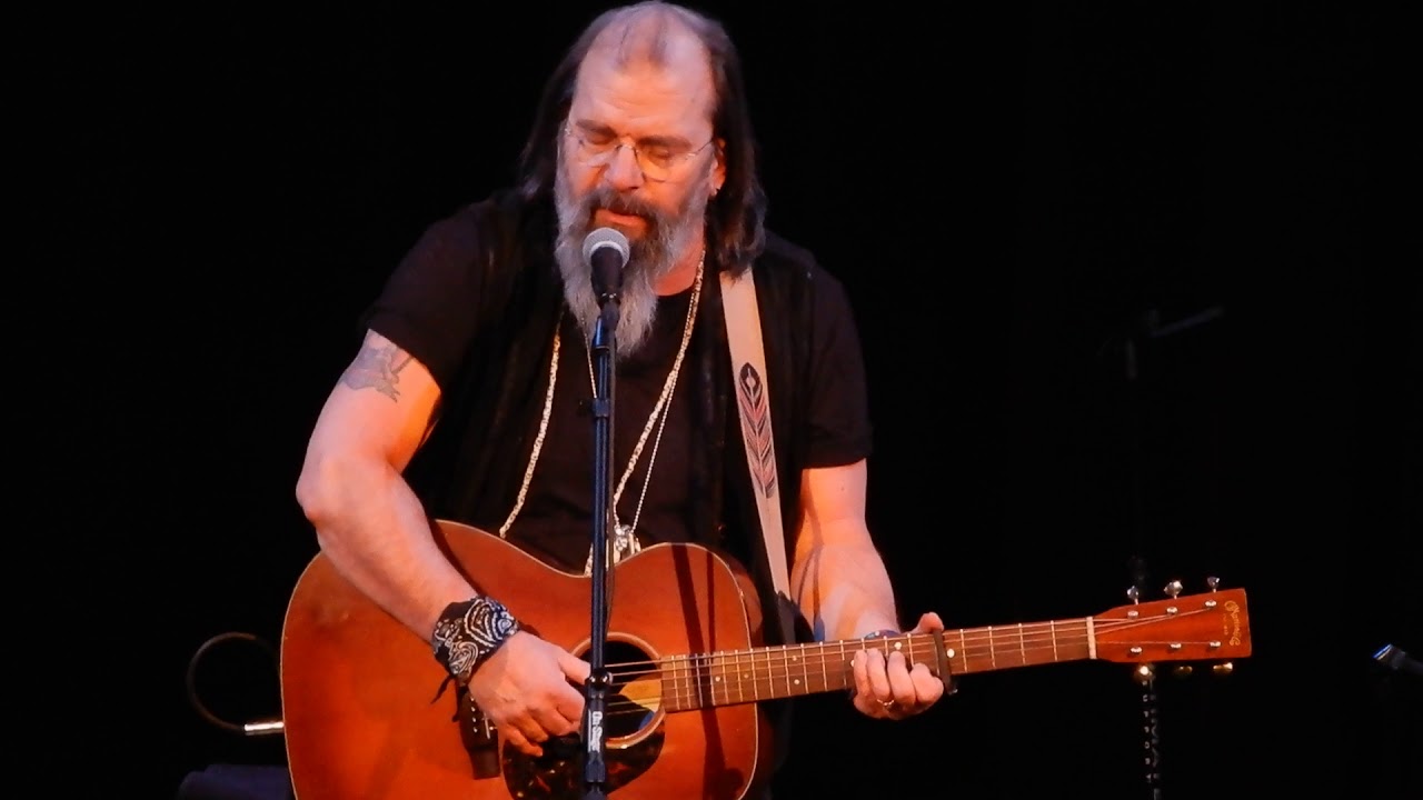 STEVE EARLE: Sparkle and Shine