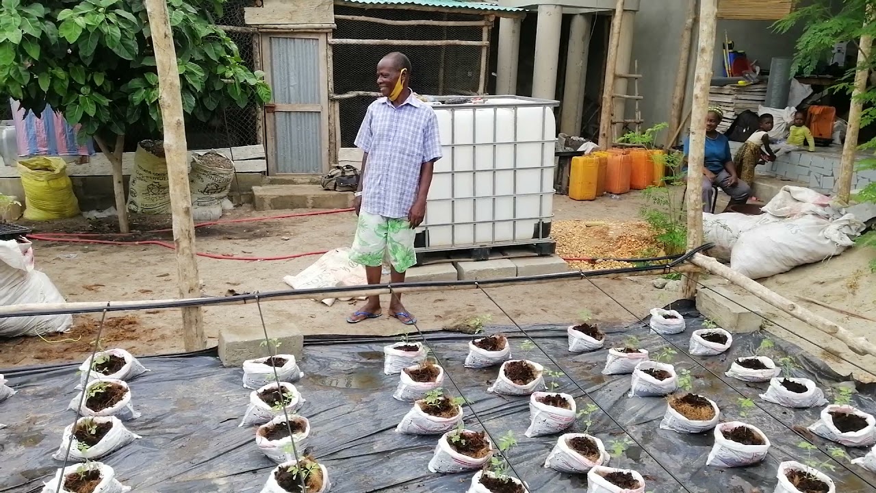 #100m² #maraîchage #fraise #hors #BENIN #TOGO #CONGO #KINSHASA #aubergine #tomate #EXPERT #CLETUS