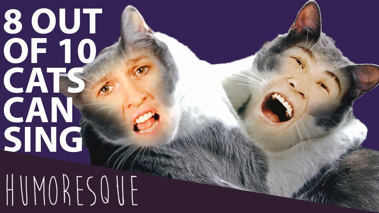 Cat Duet by Rossini-Johanna von der Deken and Hyung-ki Joo
