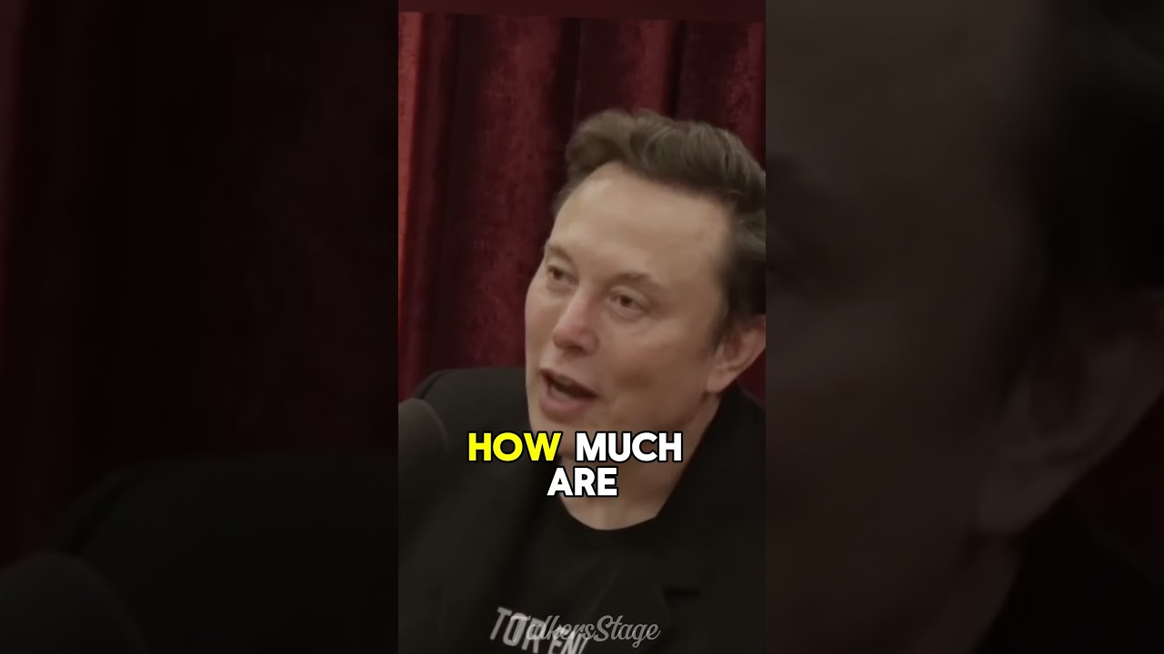 Elon Musk Explains Federal Government Spending.💰