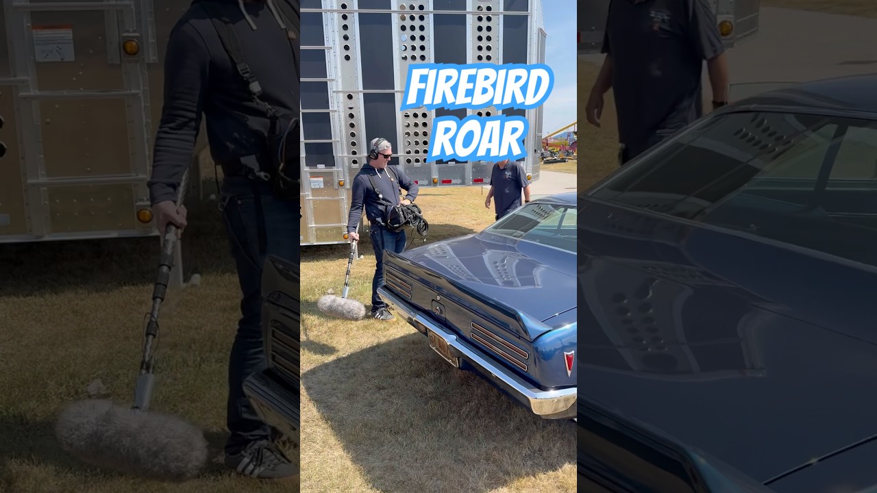 Pro Equipment + Firebird Growl = CRAZY SOUND😱💥