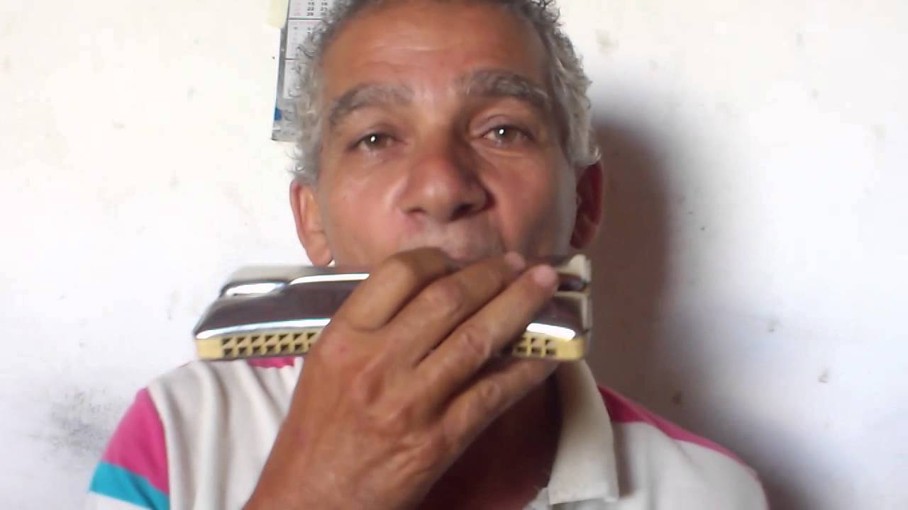 Gaita de Ouro ( Zezinho da gaita )