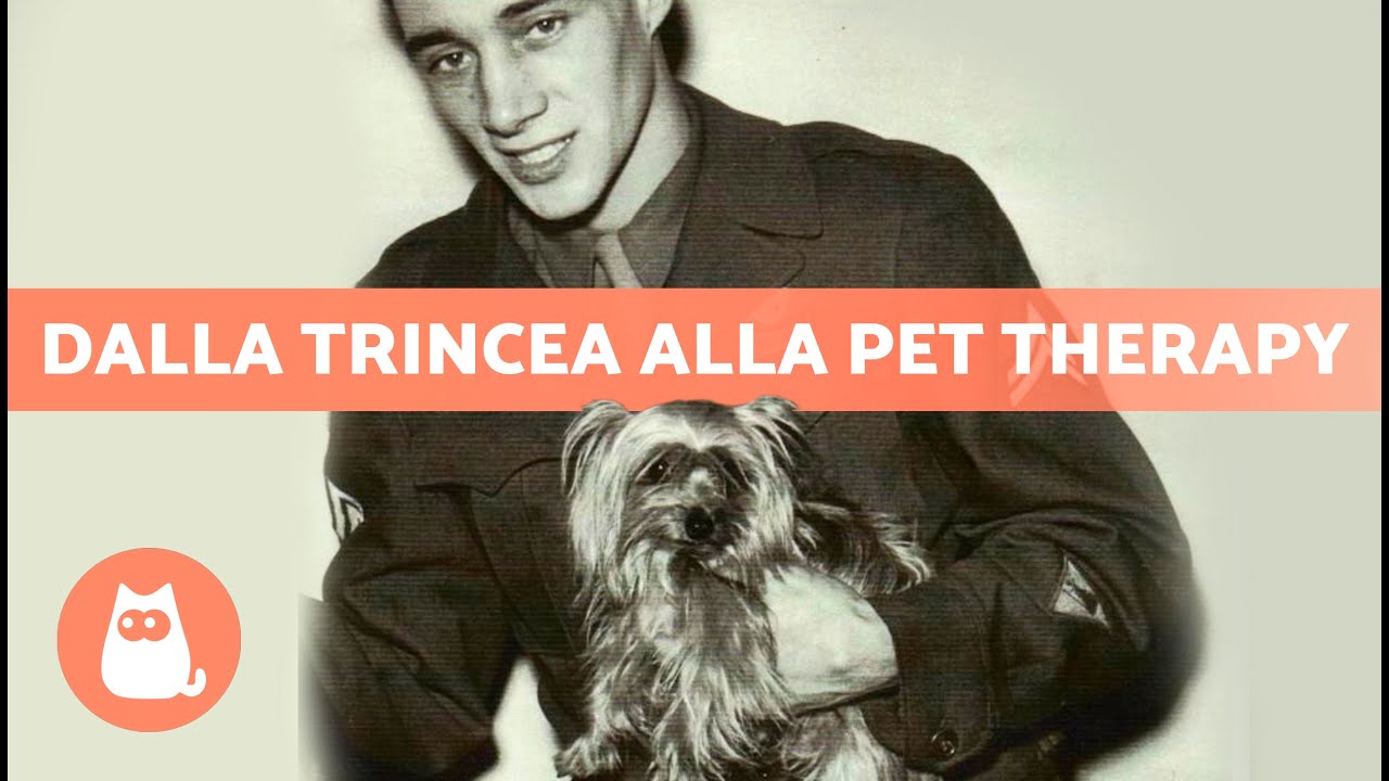 La cagnolina che divenne un' EROINA 🐶