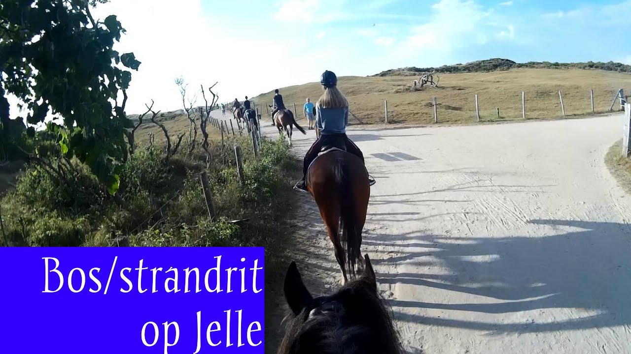 Bos/strandrit op Jelle ǀ Manege Duno