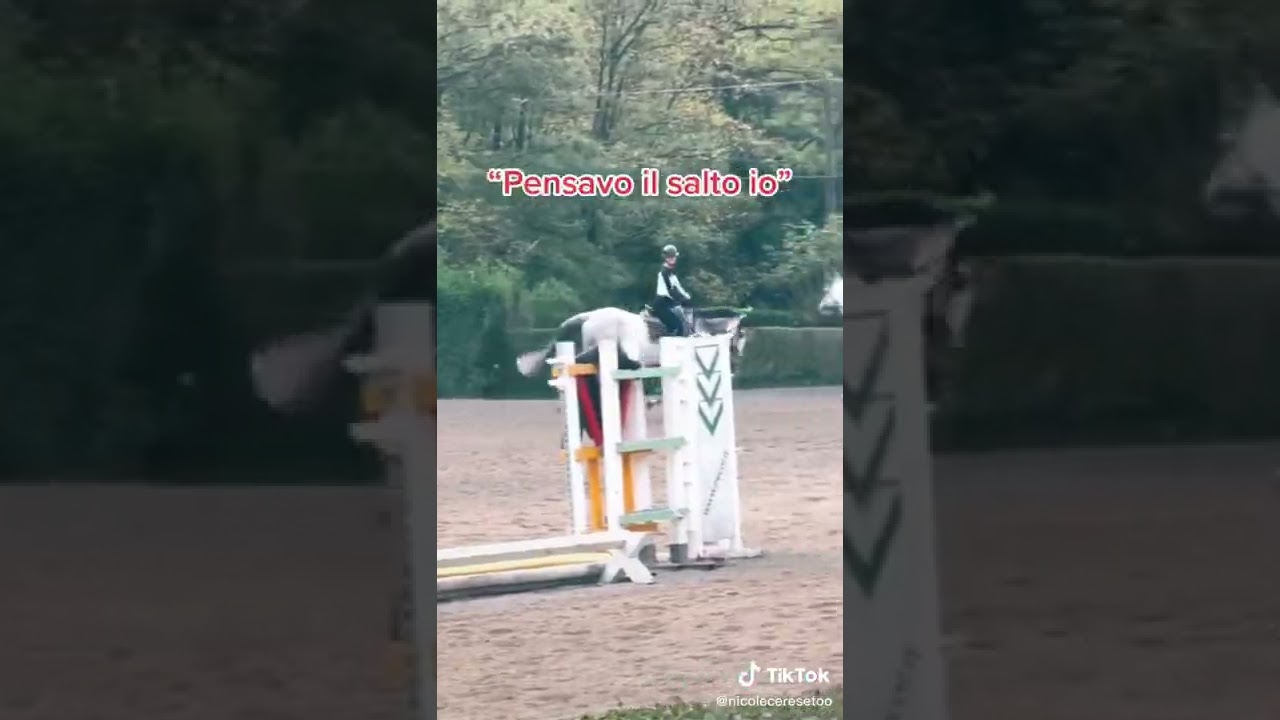 @LaNichi #equitazione 🤢