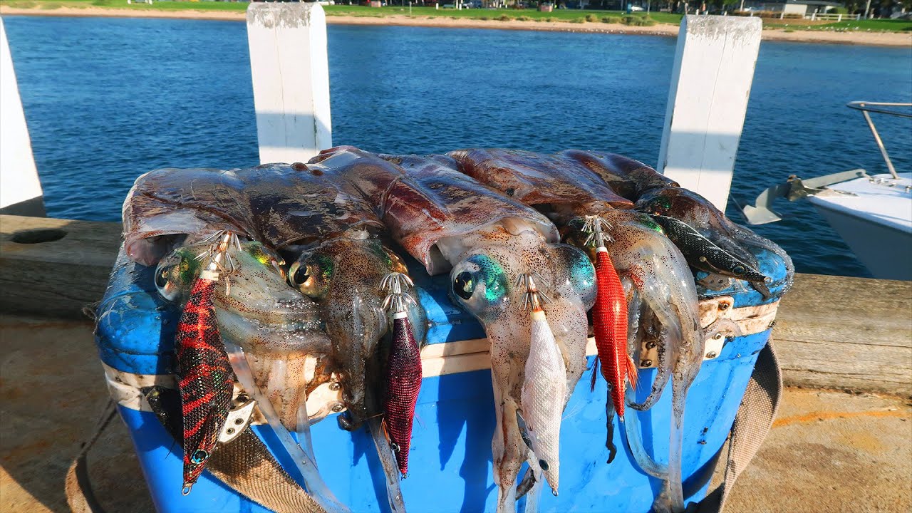 How To Catch Squid Off A Jetty