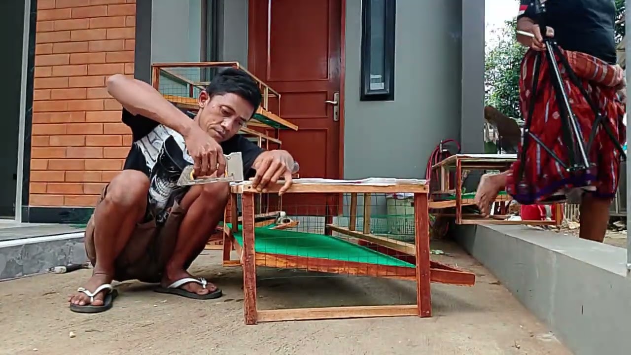 Proses Pembuatan kandang puyuh 