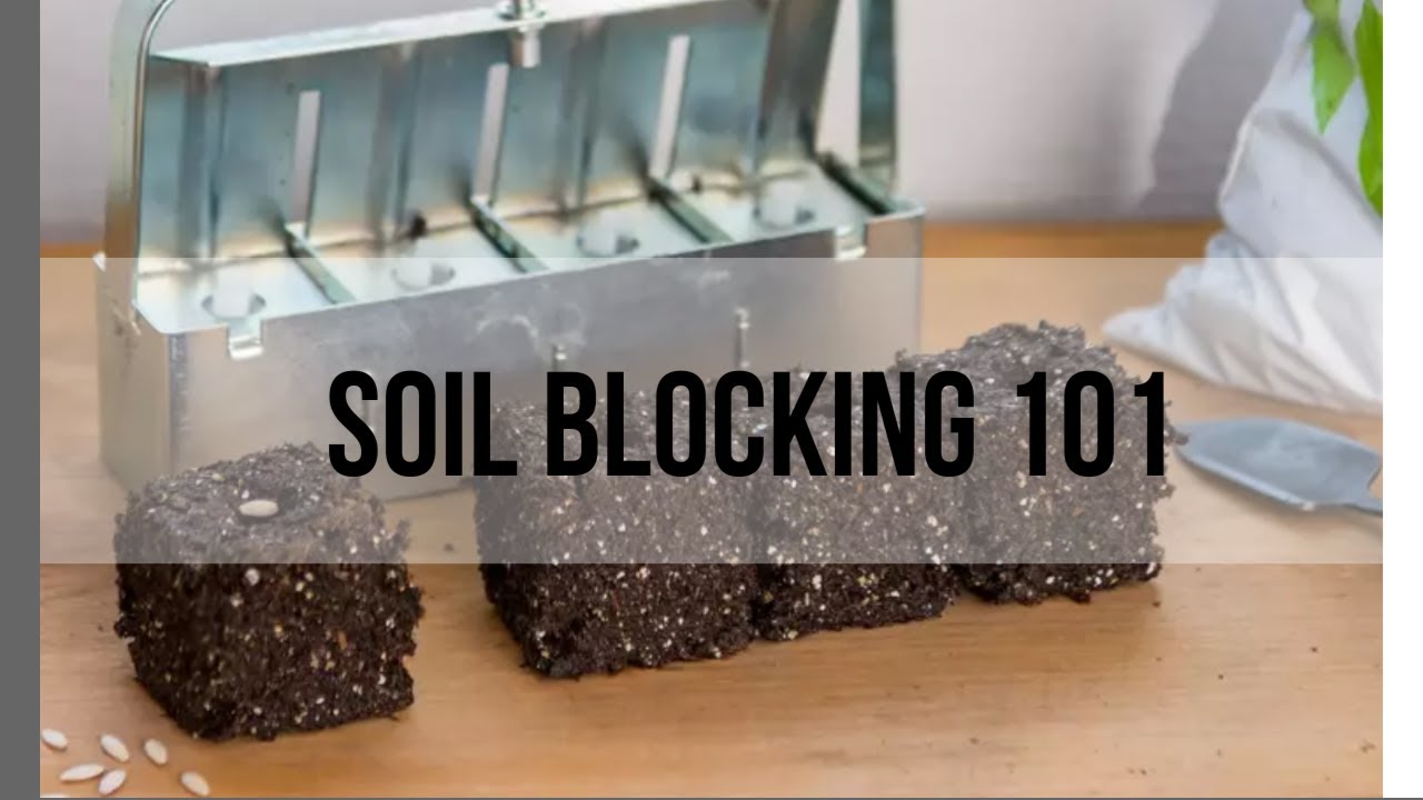 Soil Blocking 101 | Soil blocking | Soil Blocker | Soil blocking gardener&rsquo;s workshop | Homesteading
