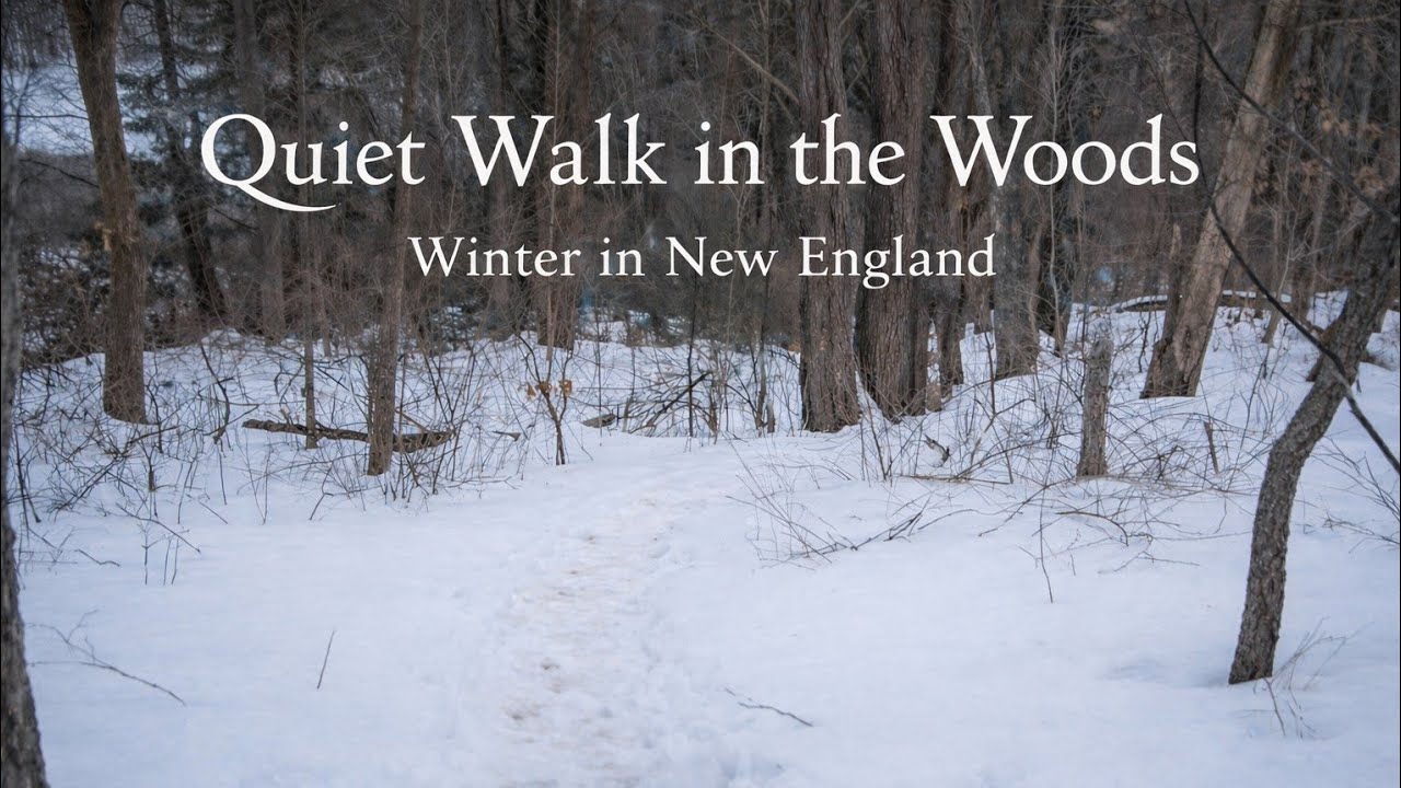 Winter Afternoon Walk in the Snowy Woods ❄️ | Quiet New England