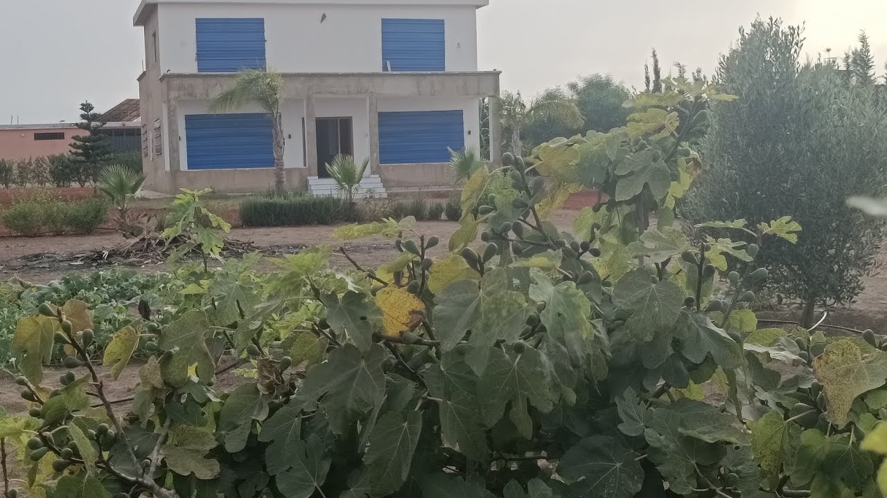 0661467850فيرمة هكتار محفظةنواحي بوزنيقة لبسابس