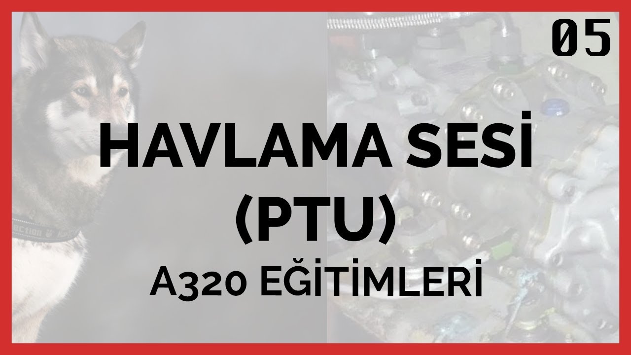 A320 Eğitim — Bölüm 5 — Havlama Sesi Nereden Geliyor (PTU)