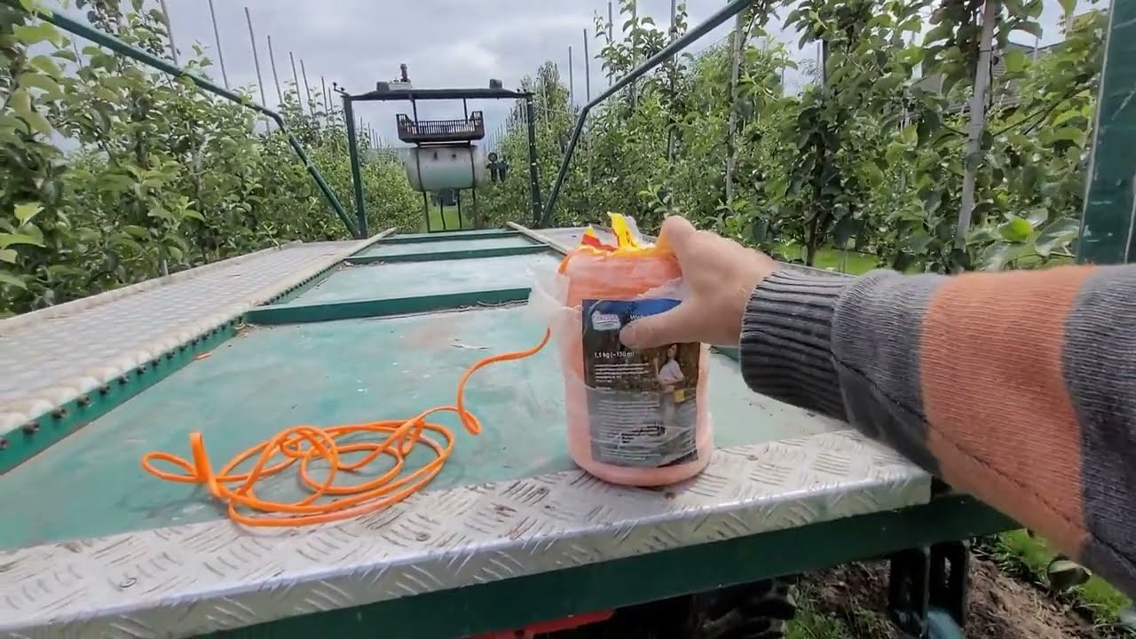 Alwa#49 komunikat sadowniczy z dnia 26.06.2022