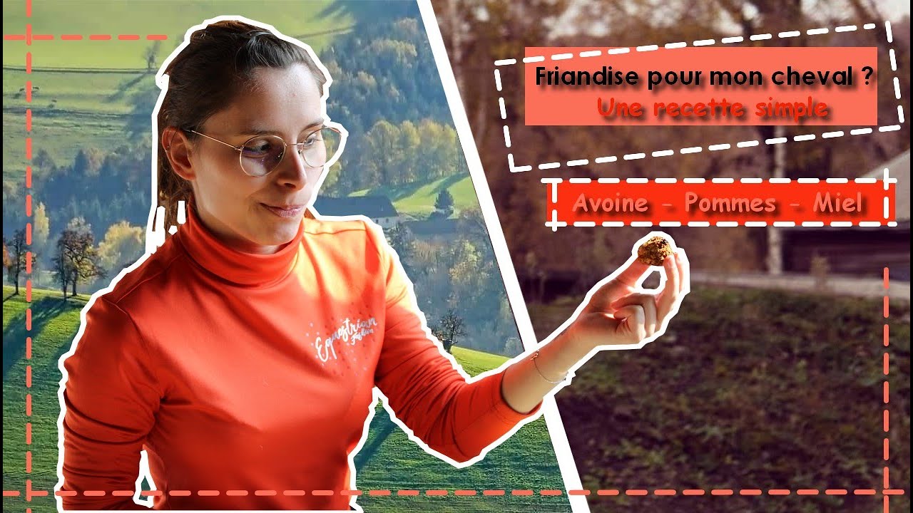 Friandise pour mon cheval ? Une recette simple : Avoine - Pommes - Miel.