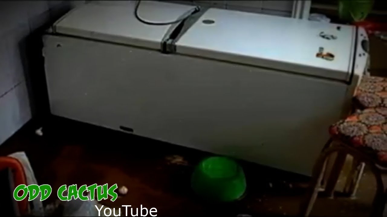 某女母親開女兒冰櫃，竟發現失聯一年多的女婿｜又一則恐怖情人案件