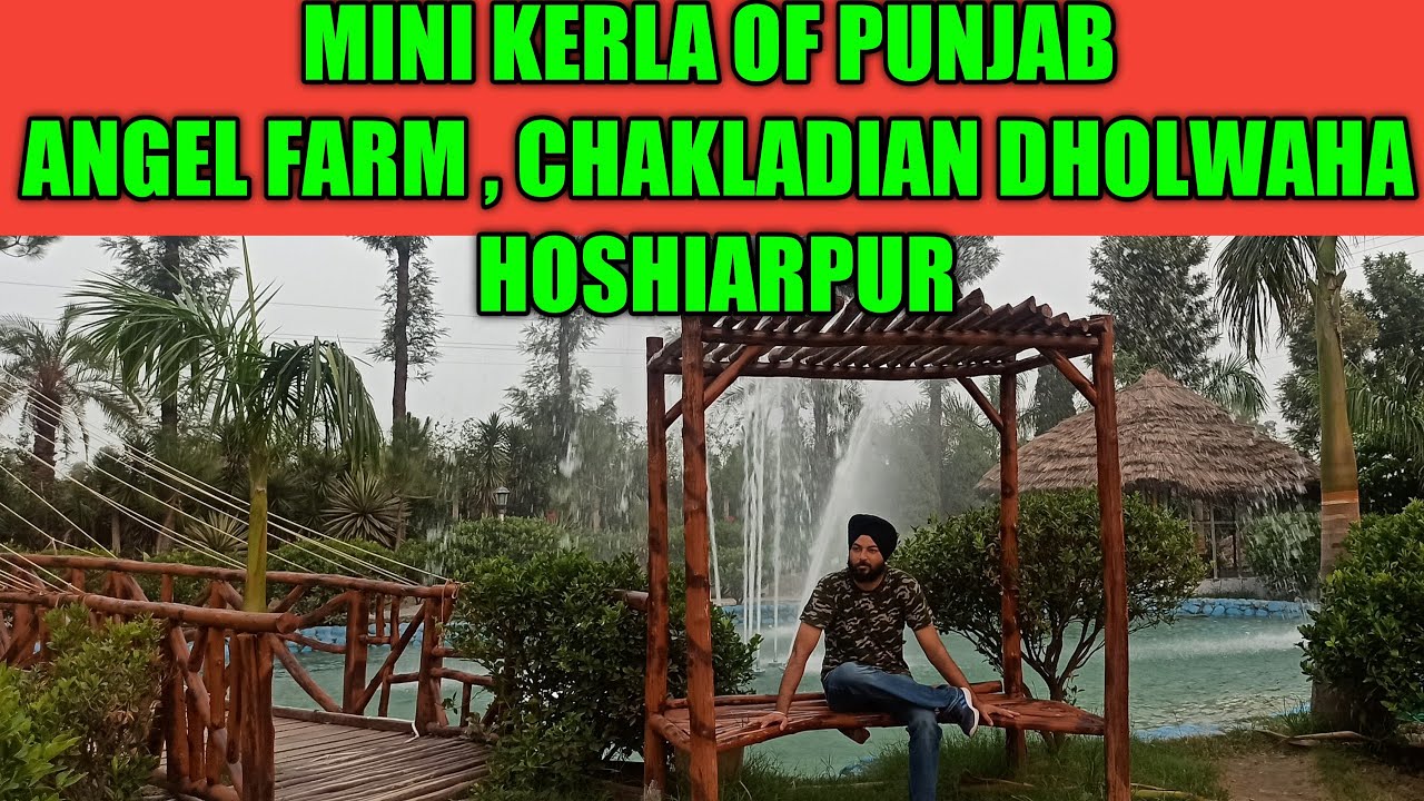 Angel Farm || angel farm chakladian dholwaha || Angel Farm Hoshiarpur
