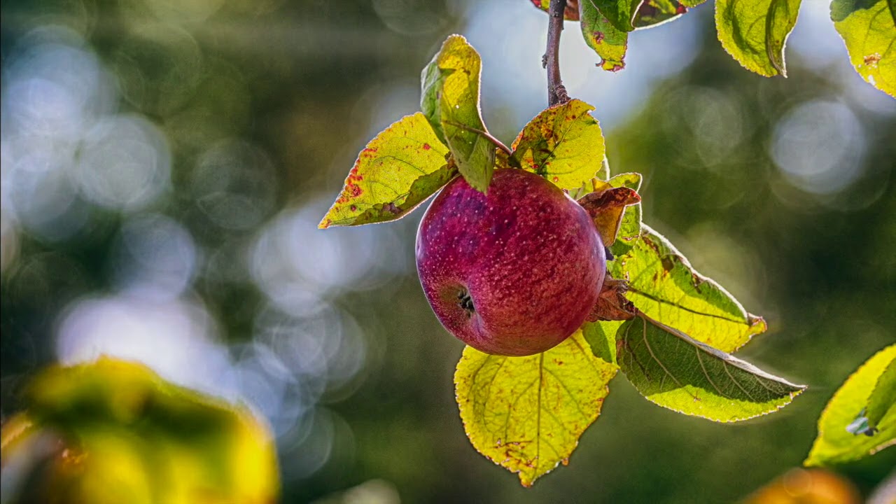 Farben für den Winter von Role Kalkbrenner
