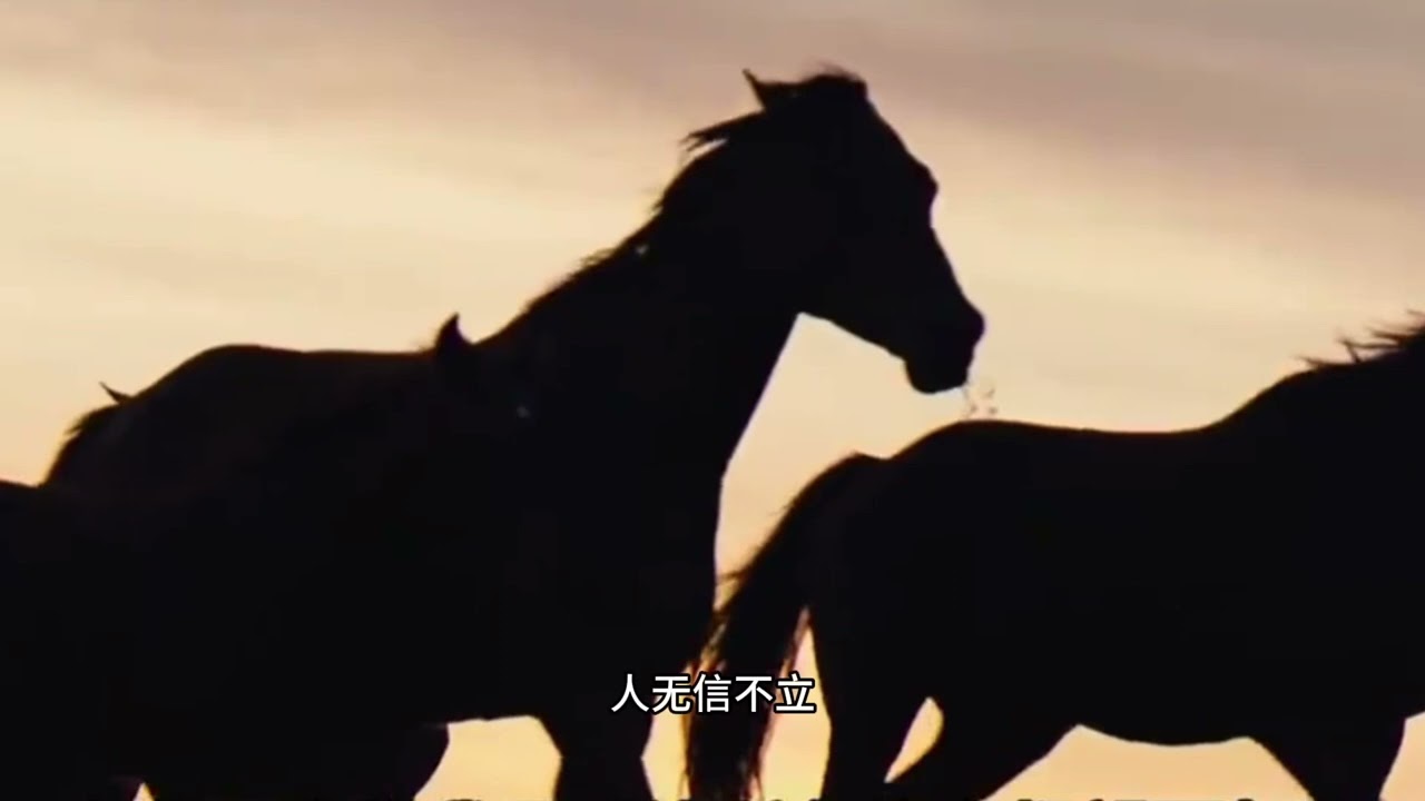 赤兔之死 蒋昕捷高考百分作文，共赏！