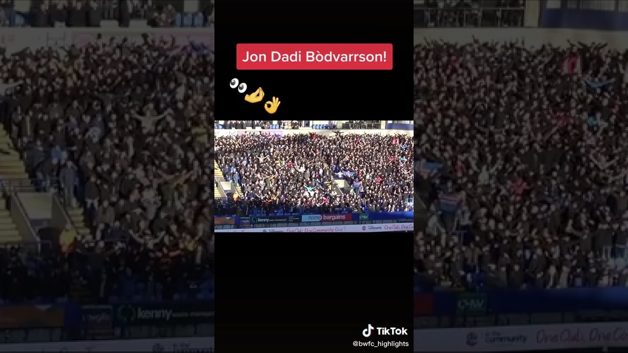 Jón Daði Bodvarsson Skills