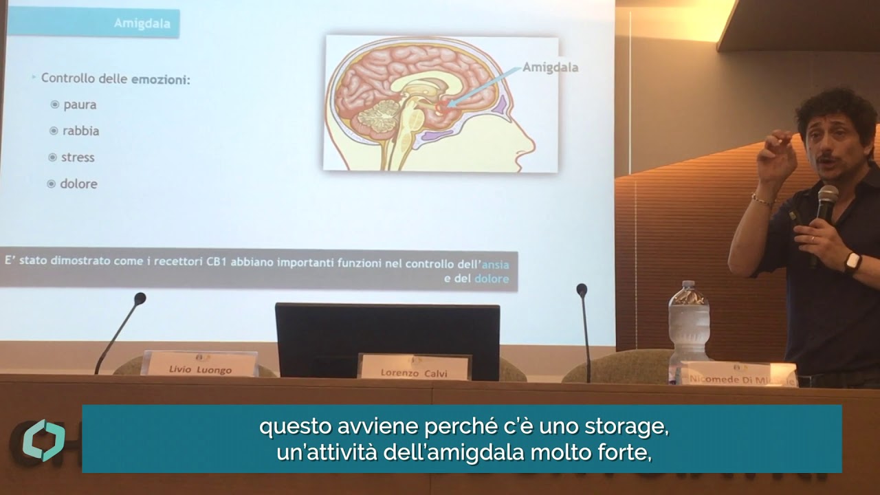 Memoria e Sistema Endocannabinoide con Livio Luongo [ORDINE DEI MEDICI]