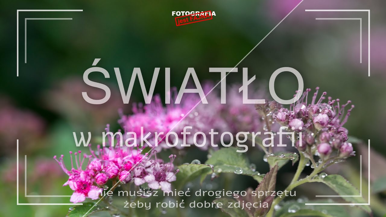 🚩 Światło w makrofotografii - Fotografia jest Fajna - fotografia dla poczatkujących