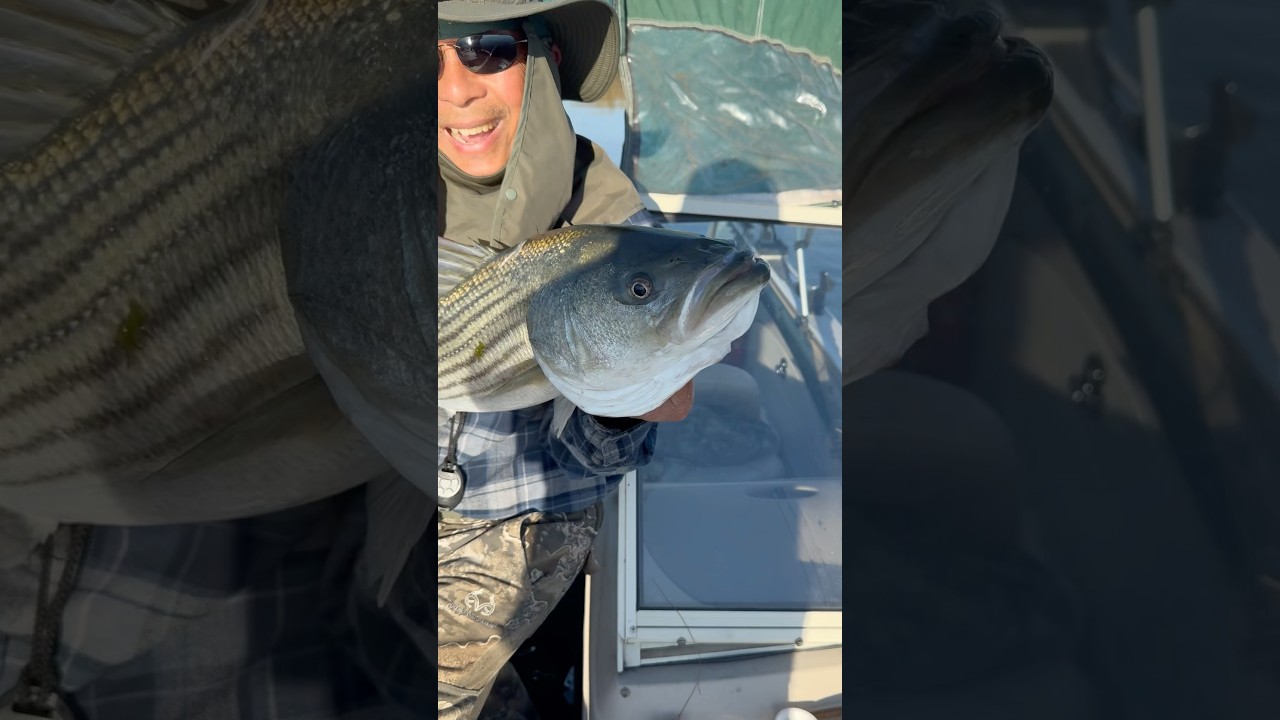 Striper Fishing Sacramento River CA Delta 