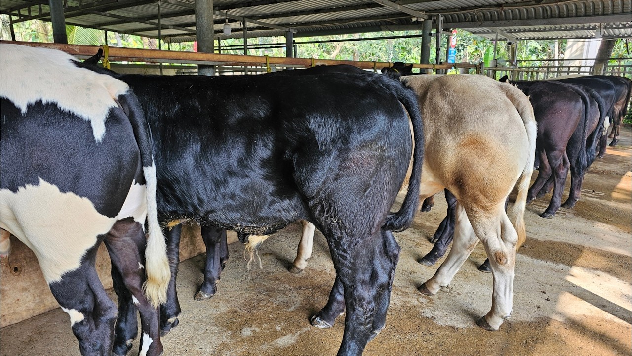 7/3/2026 ĐT.097350433_BB ĐẸP KEM XÁM ĐỘ