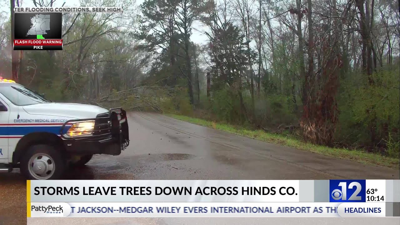Storms cause damage across Hinds County