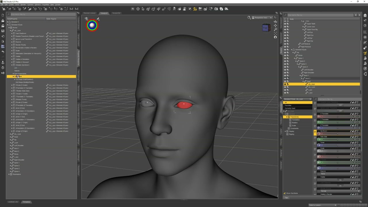 What are Control Bones in Daz Studio?