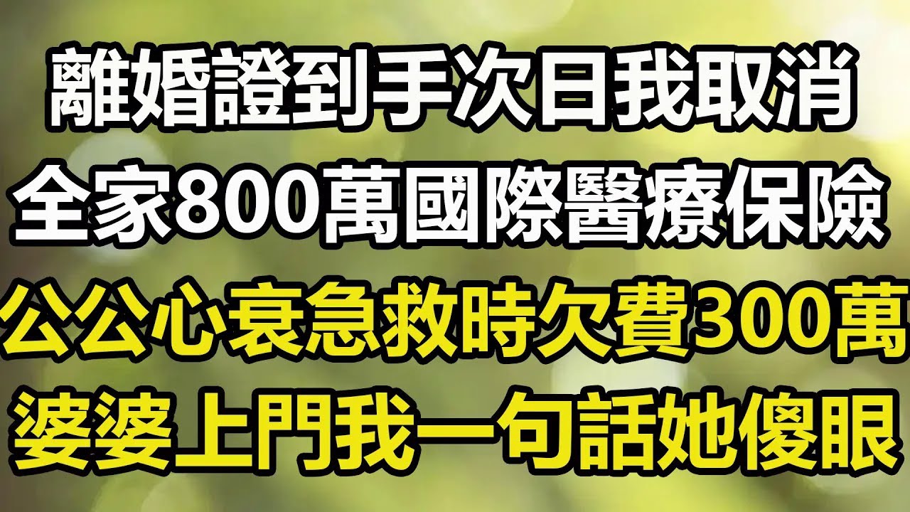 34離婚證到手一分鐘，我秒刪婆婆「3國10年簽證」，她剛到歐洲享受豪華遊，海關一句話讓婆婆當場傻眼！