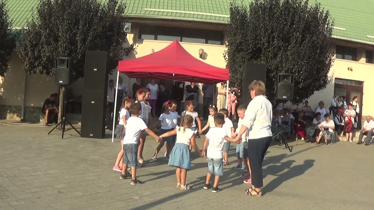 Zilele Comunei Peciu Nou. Distracție maximă! -15 august 2021