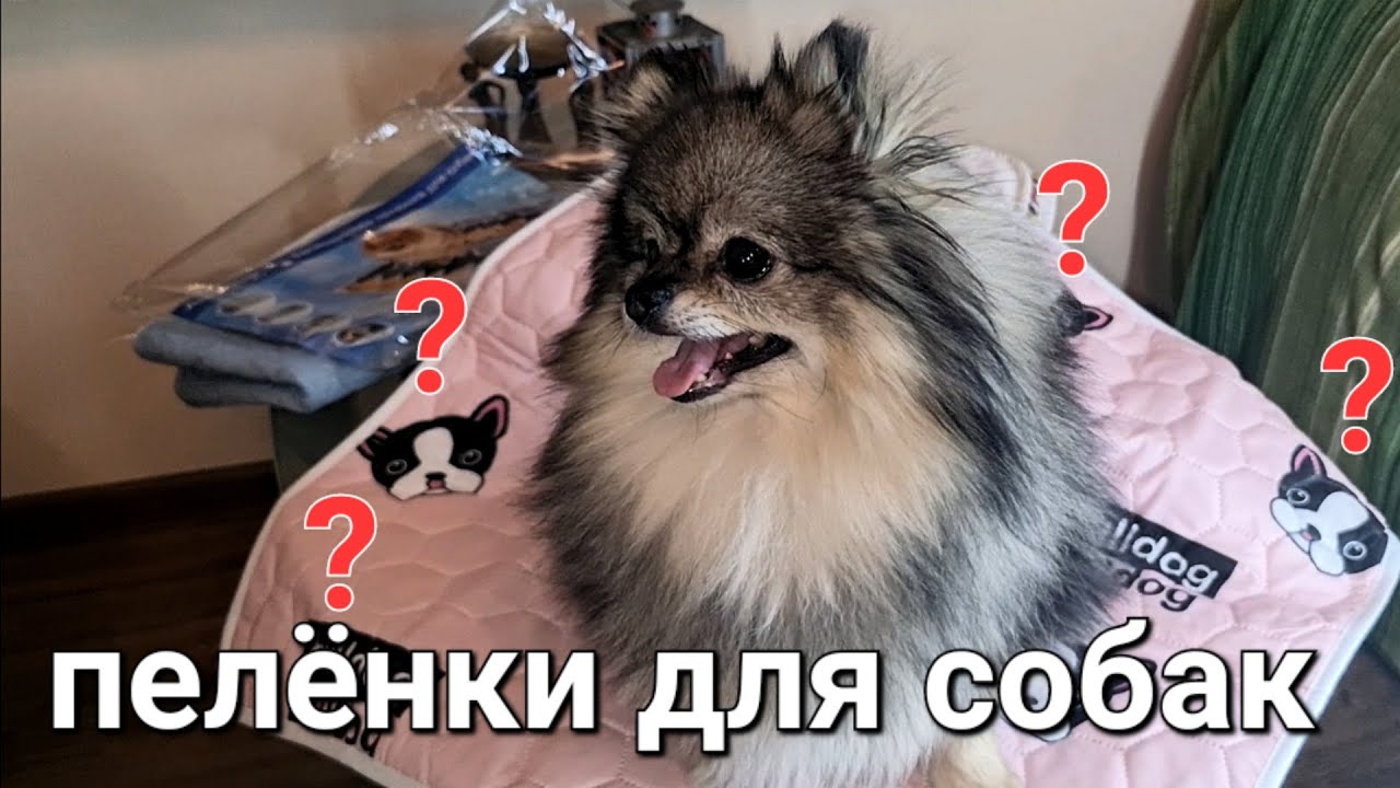 Многоразовые пелёнки для собак. Купили новую, что нужно сделать?