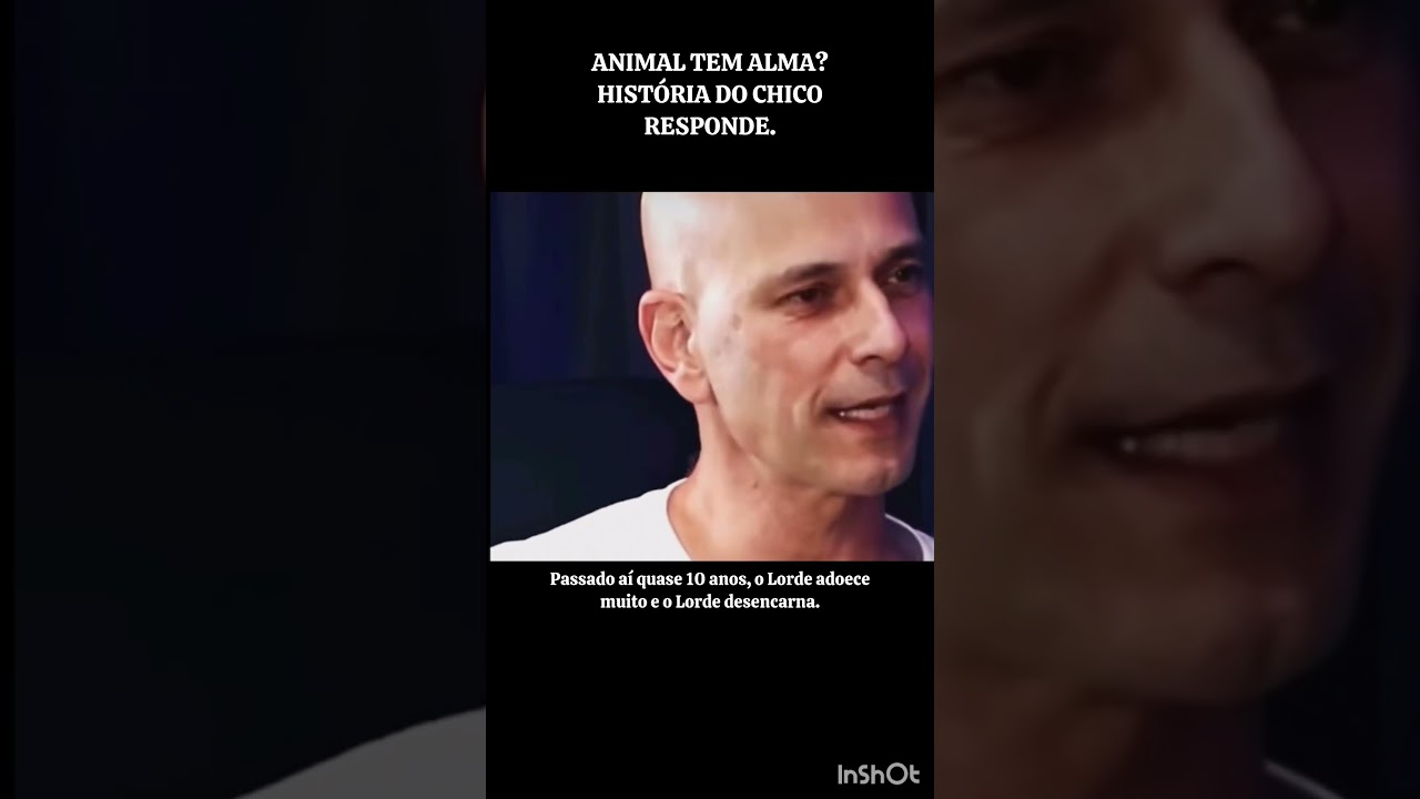 ANIMAL TEM ALMA NO PLANO ESPIRITUAL? ESTA HIST&Oacute;RIA DO NOSSO QUERIDO CHICO XAVIER RESPONDE.