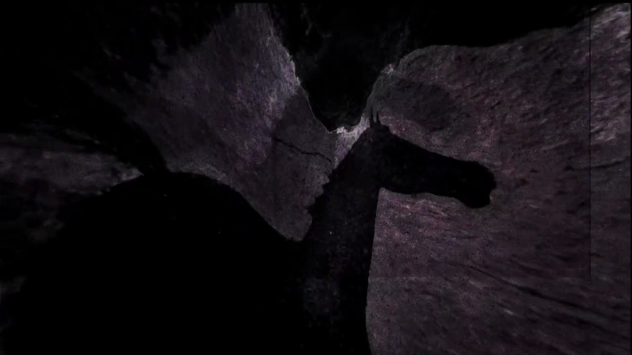 Matthew Herbert x London Contemporary Orchestra - The Horse Is Quiet (Official Video)