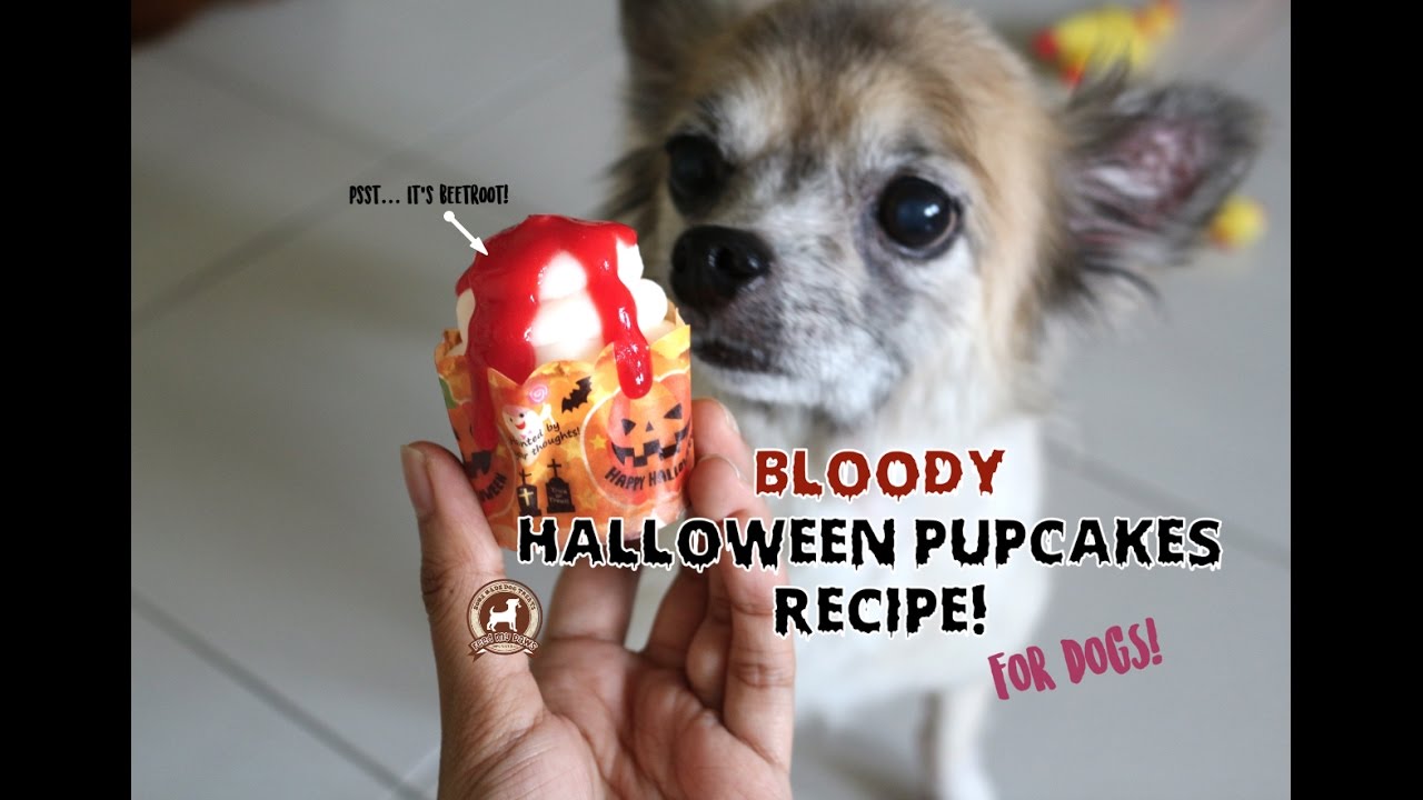 Scary Halloween Pupcakes Recipe for DOGS!