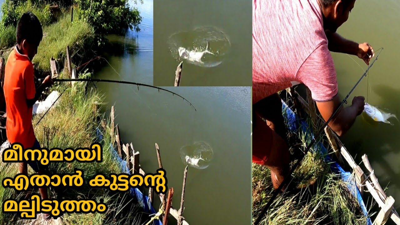 മീനുമായി എതാൻ കുട്ടന്റെ മൽപ്പിടുത്തം