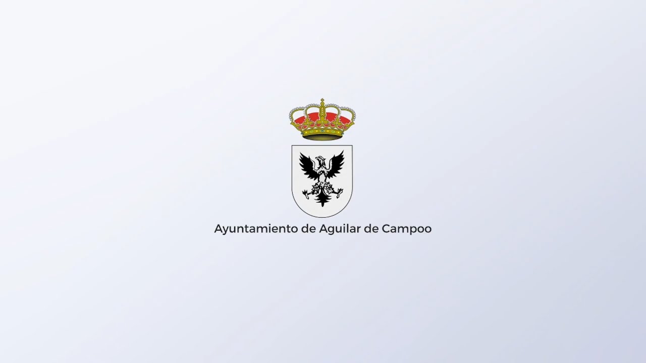 Pleno Extraordinario 11 de Noviembre 2024