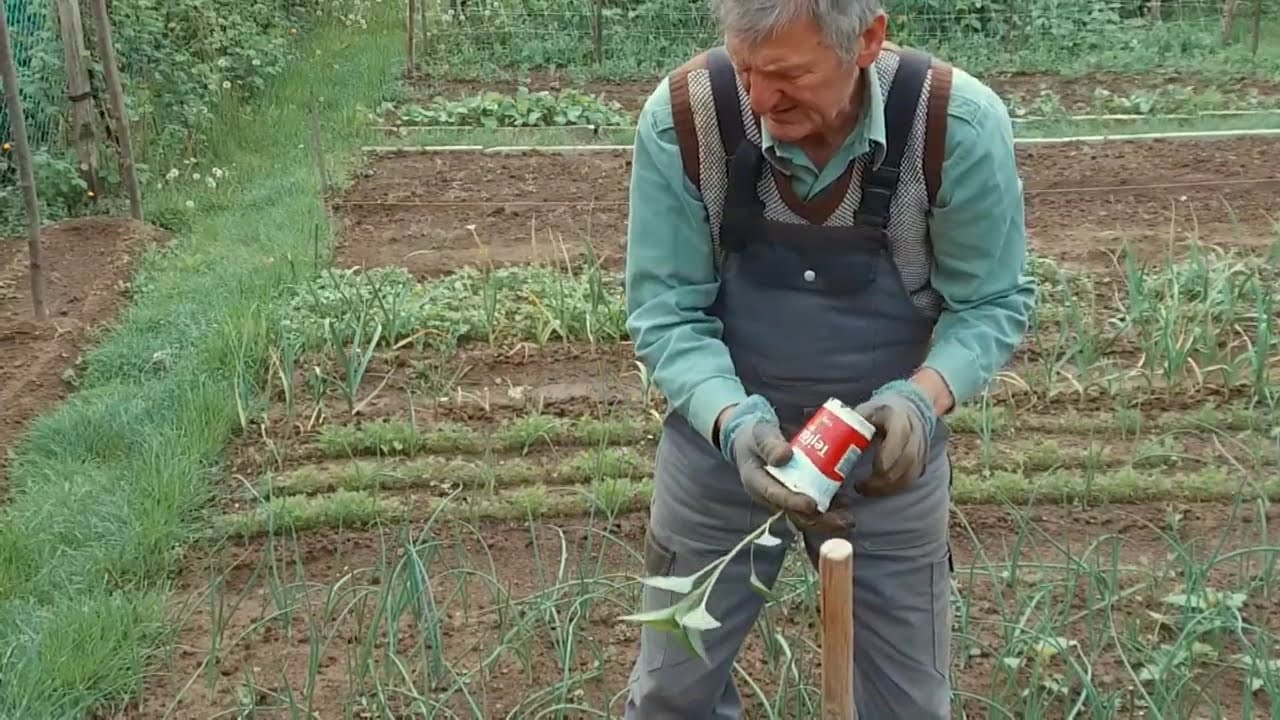 Paprikamag vetése Goldperger Andrással