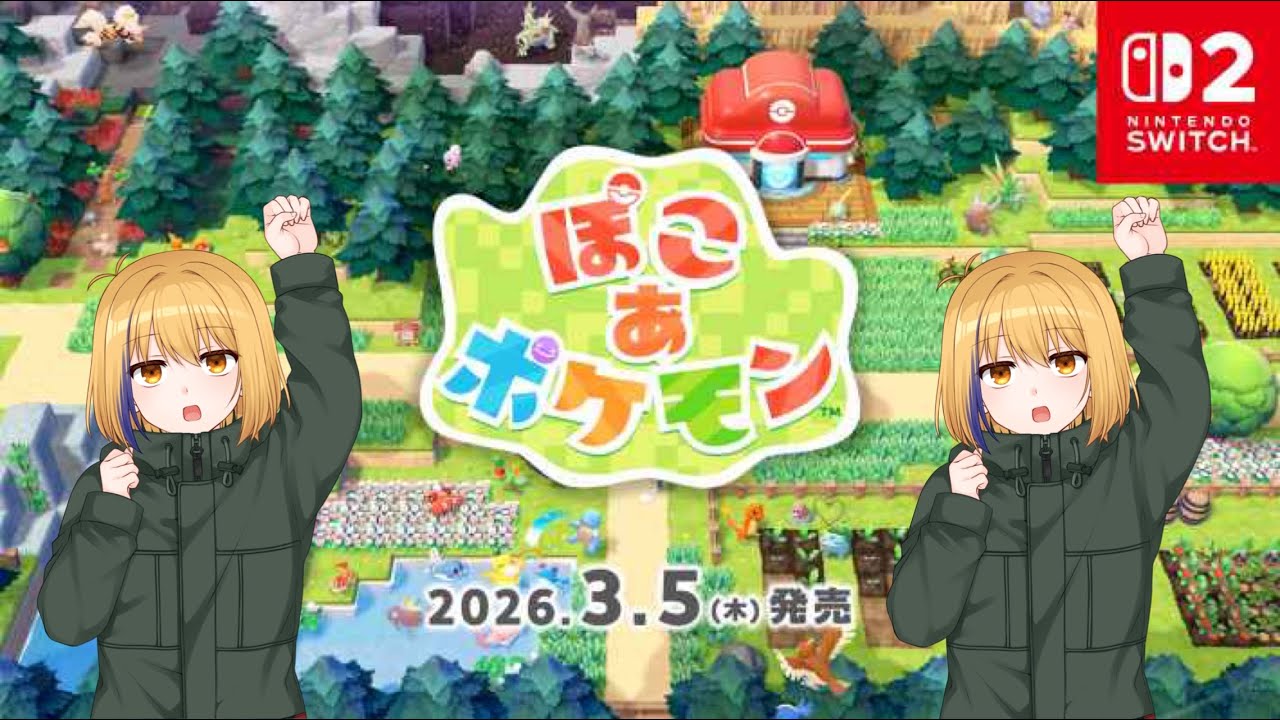 次に憲法を制定していく【ぽこ あ ポケモン】