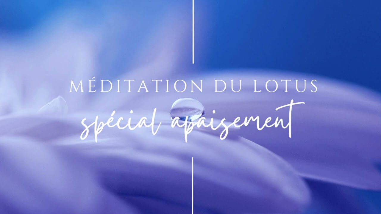 8 minutes pour s’apaiser - Méditation du Lotus - Sophrologie domicile.com