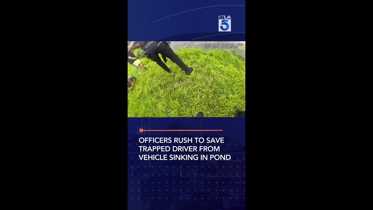 Officers rush to save trapped driver from vehicle sinking in pond