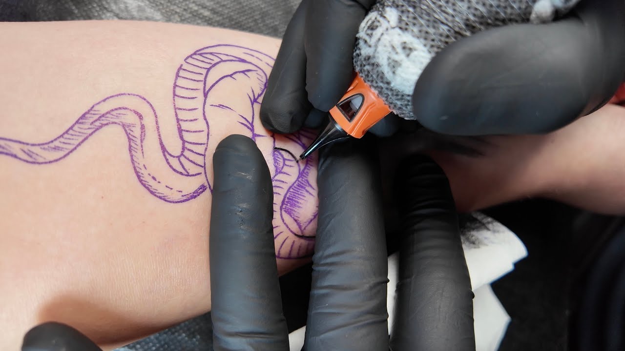 REAL TIME Snake TATTOO