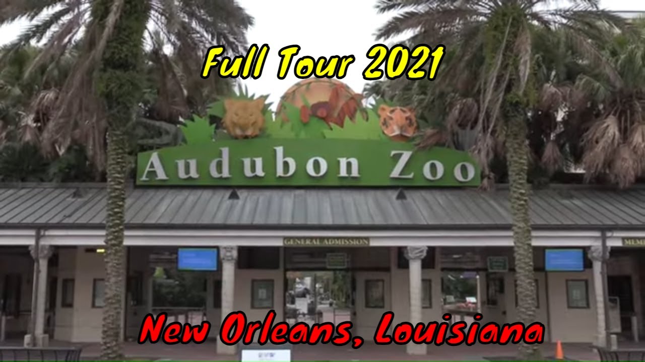 Audubon Zoo Full Tour - New Orleans, Louisiana