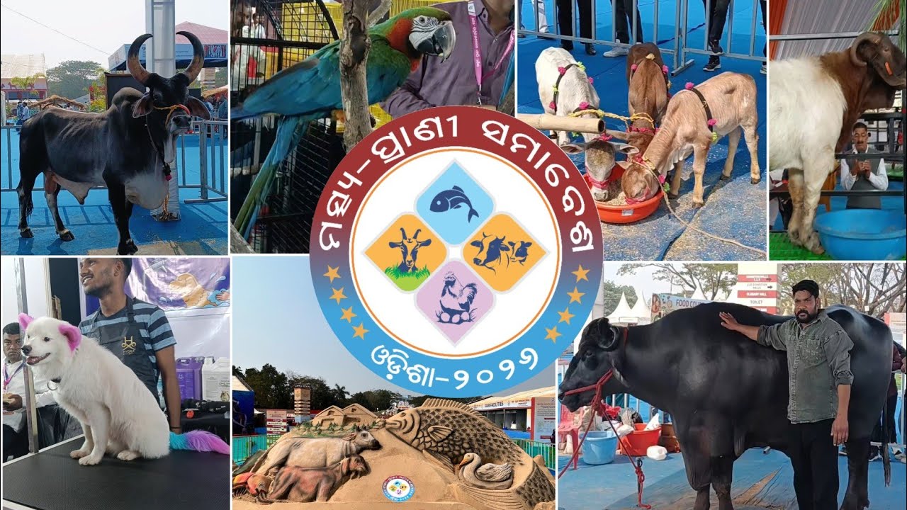 Matsya O Prani Samabesh, Odisha - 2026 | ( ସମସ୍ତ ତଥ୍ୟ ଏଇ ଗୋଟିଏ ଭିଡିଓ ମାଧ୍ୟମରେ )