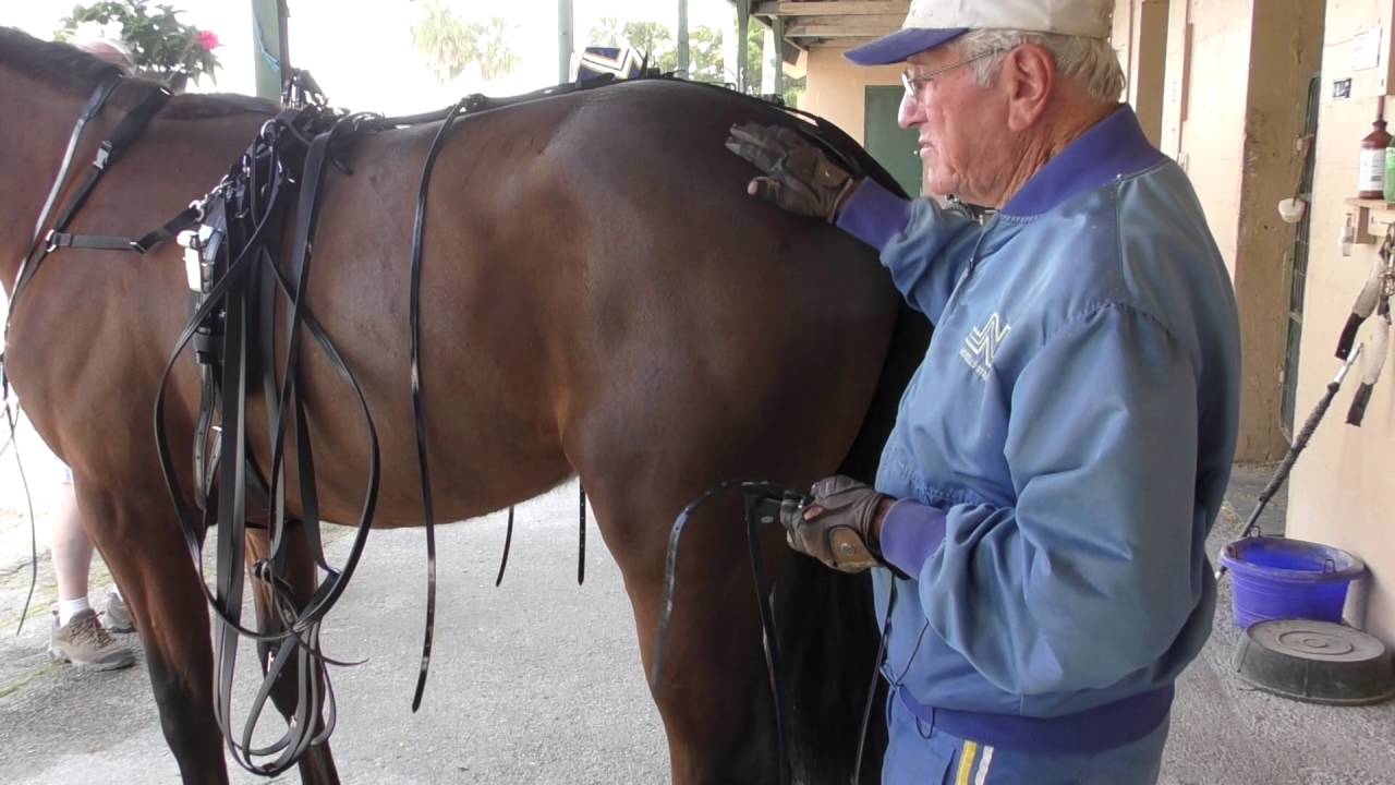 Tack to Track presented by Jacks - How to hang pacing hobbles