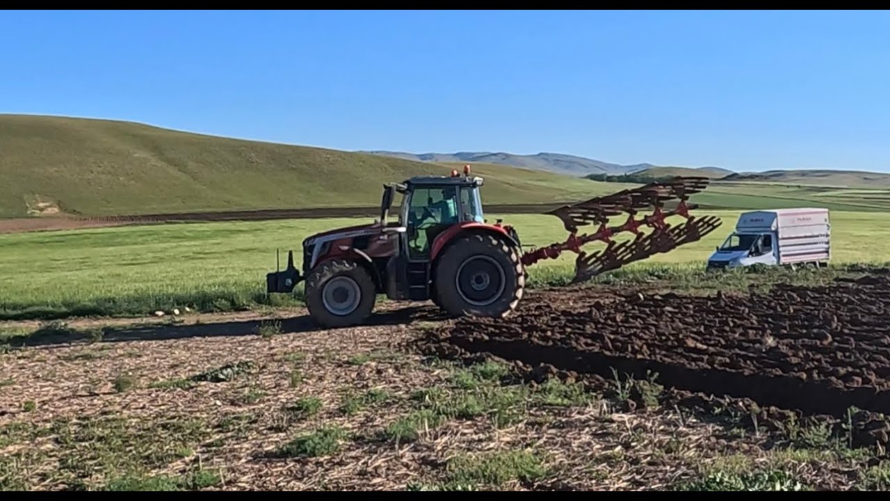 7S 180 Massey Ferguson İle Yeni Aldığımız Pulukla 1350 Dekar Yer Sürdük Tek Traktör